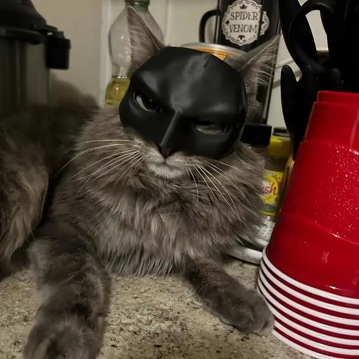 Cat Mask Cute Matte Bat Design for Pets Cool Cosplay Costume Accessory for Daily Decor Parties Cat Dogs Spooky Make-Up Party Toy